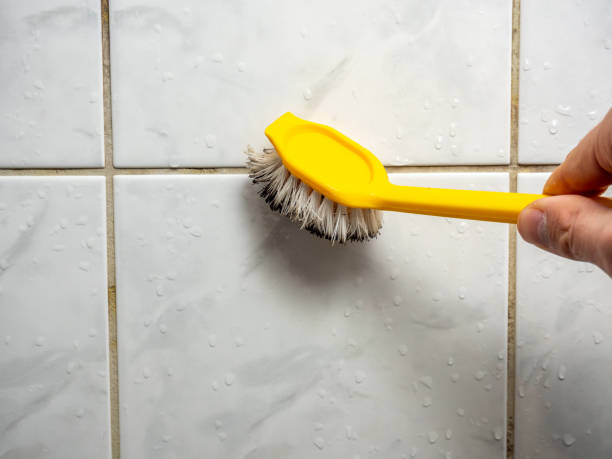 Best Black Mold Remediation in Fussels Corner, FL