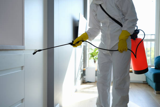 Best HVAC Mold Remediation in Fussels Corner, FL