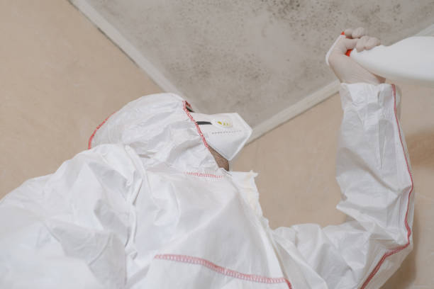 Best Kitchen Mold Remediation in Fussels Corner, FL